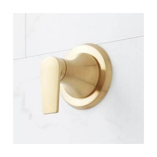 SIGNATURE HARDWARE 1HDL T/VLV TRIM BG