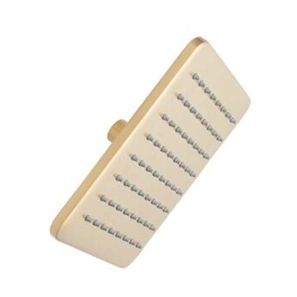 SIGNATURE HARDWARE CCY 1.75 8 RNSHWR SHWRHD BG