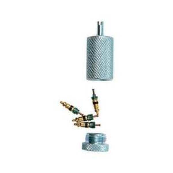 DIVERSITECH CORE STORER