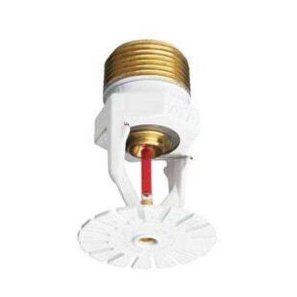 VICTAULIC V3412 3/4 CP V34 155 QR ECLH PEND