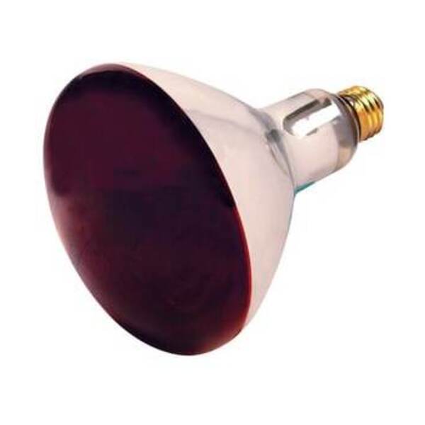 SATCO 250 RED. INFRA HEAT LAMP MED 1