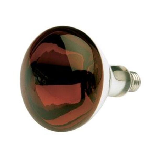 SATCO 250R40HR TF SHATTER PROOF-RED