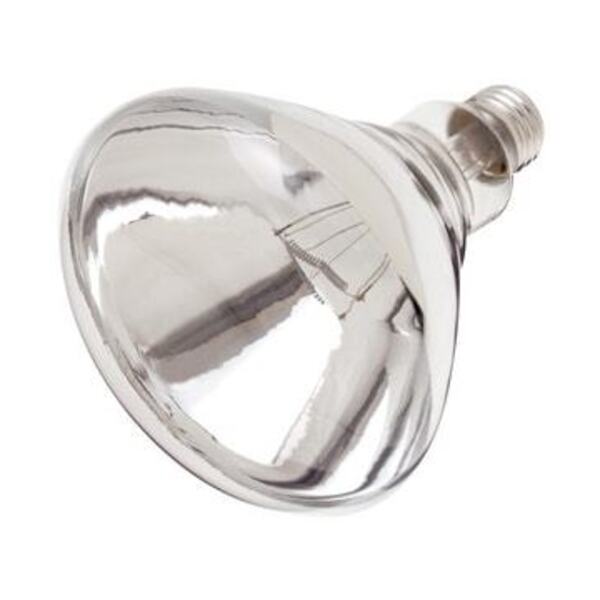 SATCO PRODUCTS INC 250R40/1/TF CLR SHATTER PROOF