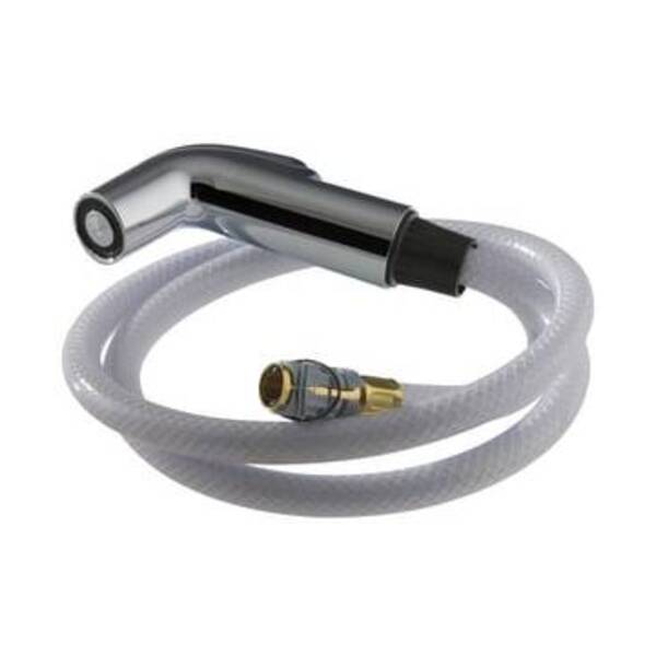 DELTA QC SPRAY & HOSE ASSY