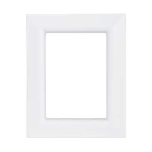 SIOUX CHIEF MFG CO INC SGL FRM IM FACE PLT