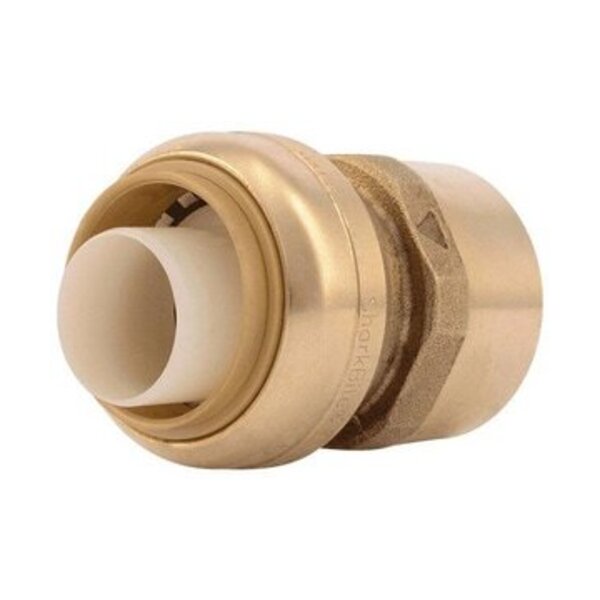 CASH ACME LF 1X1 FNPT *SHARKB STRT CONN