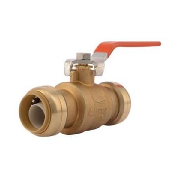 SHARKBITE LF 1 *SHARKB BV