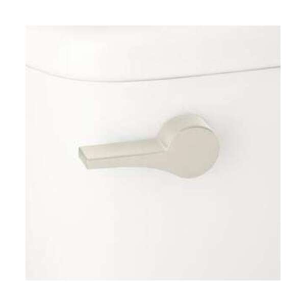 SIGNATURE HDWR FLUSH LEV F/ *BRADEN CLST BN