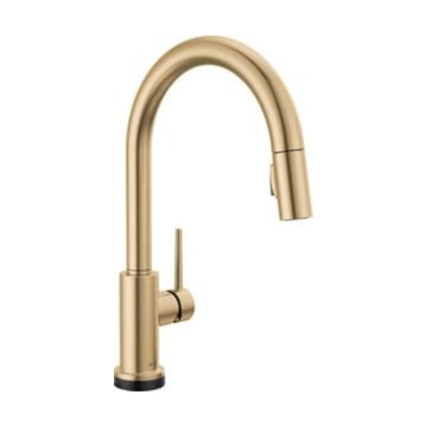 DELTA FOCUS CCY LF 1.8 1HDL PD KITC FCT CHBR