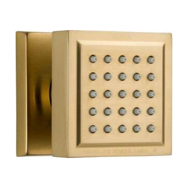 DELTA FOCUS CCY BDY SPRY CHBR 1.75