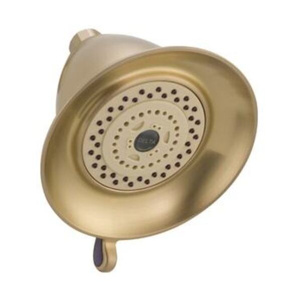 DELTA @ CCN 2.5 GPM 3 SETTING SHWRHD CHBR