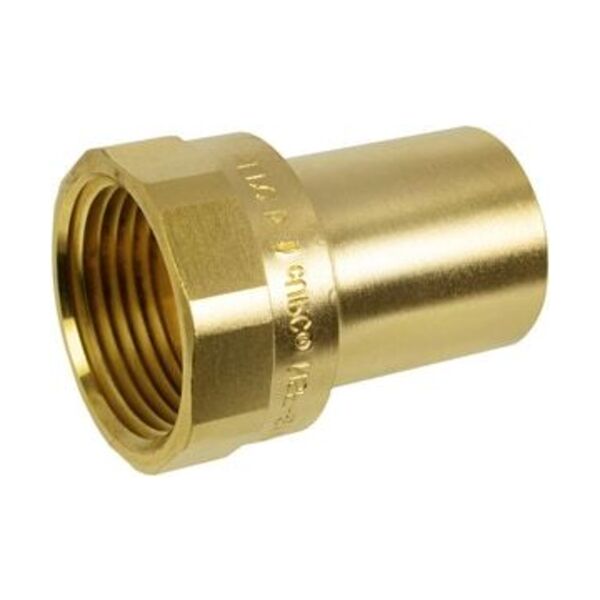 APOLLO LF 1-1/4X1/2 FTGXF ST BRS ADPT *XP