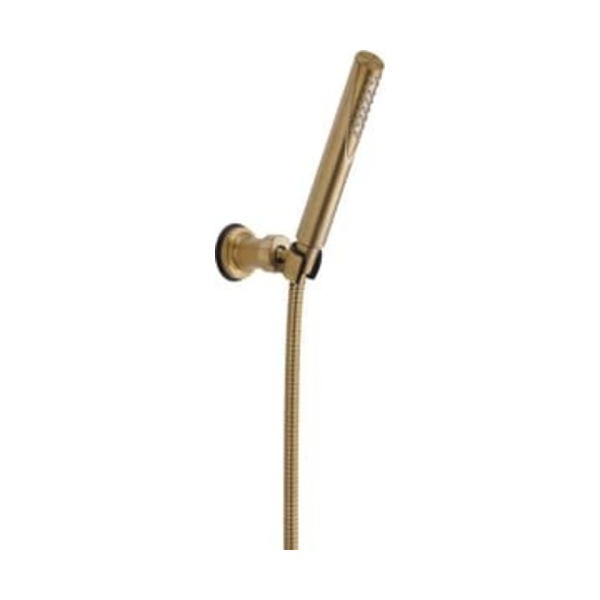 DELTA FOCUS @ CCY 1.75 WM H/SHWR