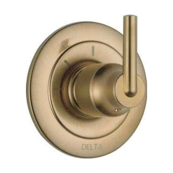 DELTA FOCUS CCY 3F DIV TRIM *TRINSI CHBR