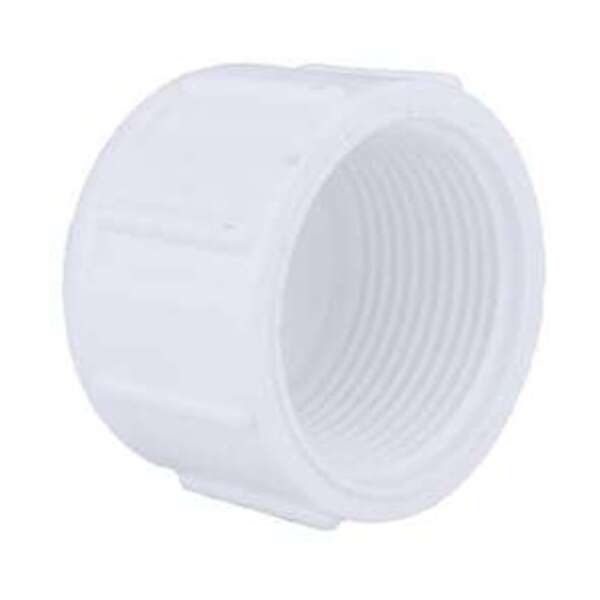 CHARLOTTE PIPE AND FOUNDRY CO 1-1/4 in. PVC Schedule 40 FPT Cap