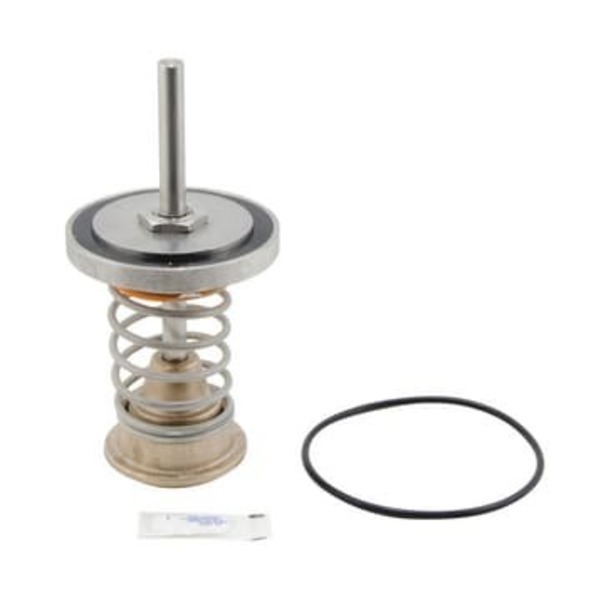 WATTS REGULATOR CO LFNP 4 LFRK909 CK1 REP KIT