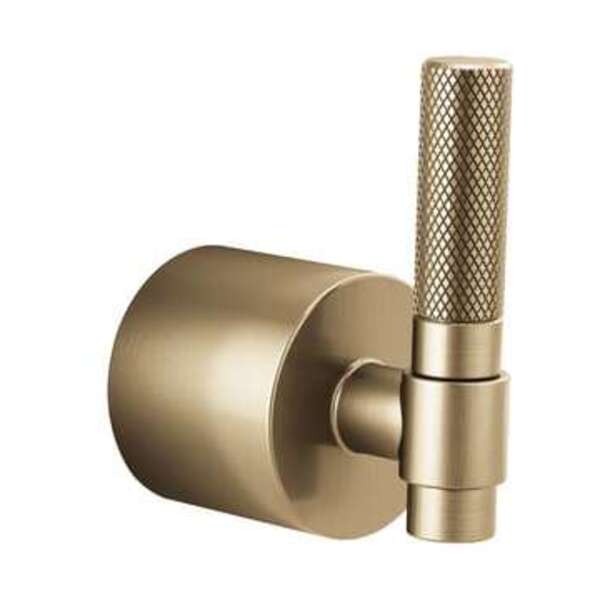 BRIZO SGL HDL FS TUB FILL KIT T LEV