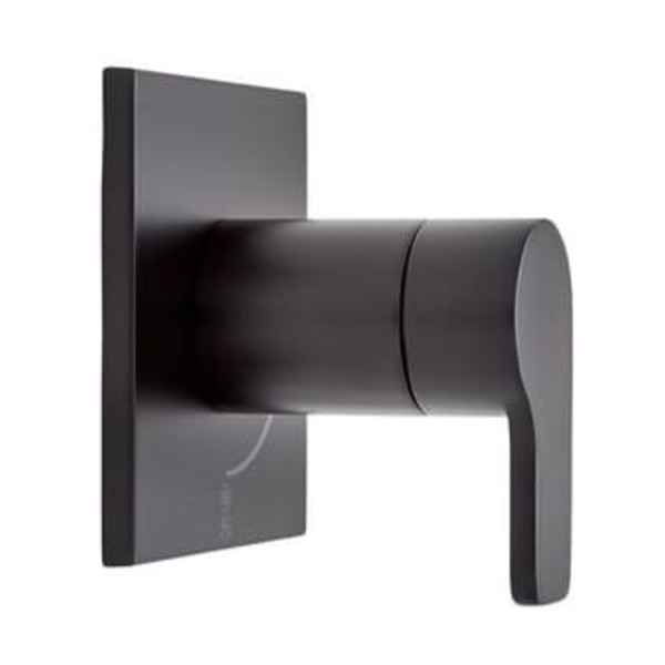 SIGNATURE HDWR 72 MTL SHWR HOSE PN