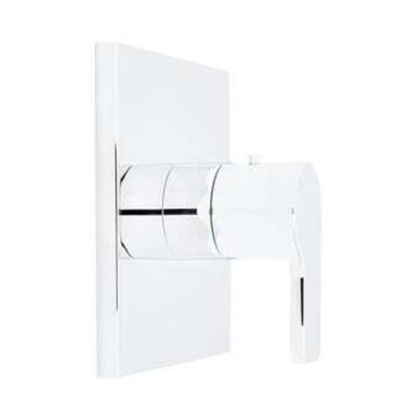 SIGNATURE HDWR 72 MTL SHWR HOSE BN