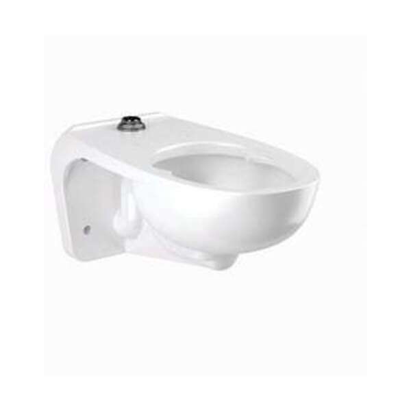 SLOAN VALVE CO ST2459-STG CL FIXT ASM WM TS