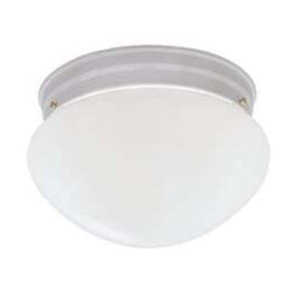 CORDELIA WHIT 8 MUSHROOM FIX