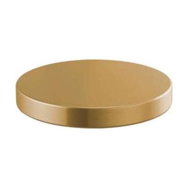 DELTA FAUCET CO HOLE CVR *LITZE LUGO