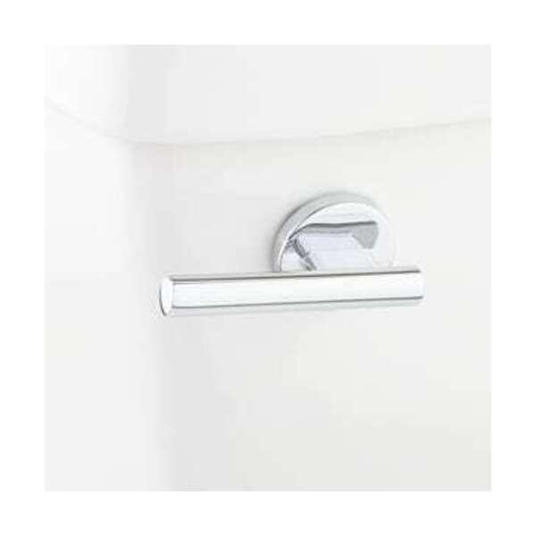 SIGNATURE HARDWARE FLUSH LEV F/ SH FRTN MOUNT CLST CP