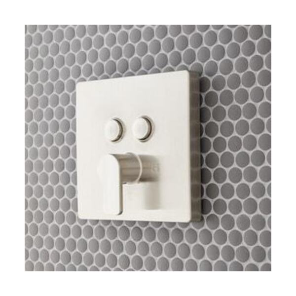 SIGNATURE HDWR 60 MTL SHWR HOSE MB