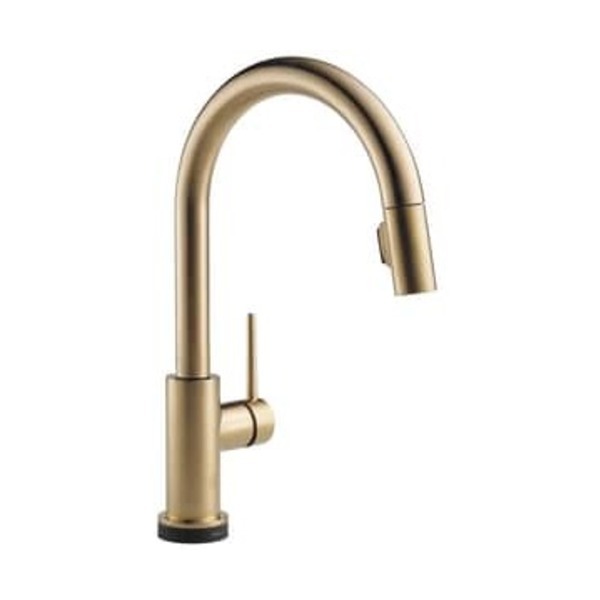 DELTA FOCUS CCY 1.8 ELEC PD KITC FCT BATRY CHBR