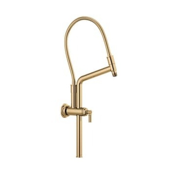 BRIZO 11 7/16 SLDBR SHWR ARM & FLG PG