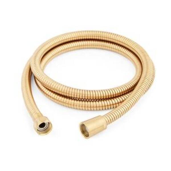 SIGNATURE HARDWARE 60 MTL SHWR HOSE BG