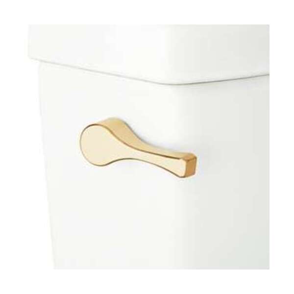 SIGNATURE HARDWARE FLUSH LEV F/ *CARRAWAY CLST BG