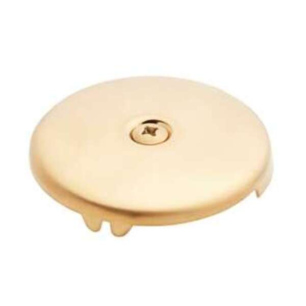 SIGNATURE HARDWARE 2H FACE PLT W/ SCRW BG