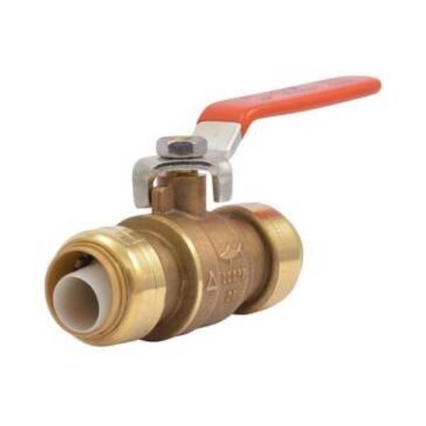 RINNAI CCY 11 GPM 199 MBH INT LP TKLS WHTR