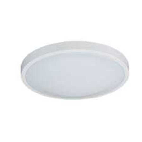 ROYAL PACIFIC, LTD CCN WHIT 1 24W LED CEIL LGHT