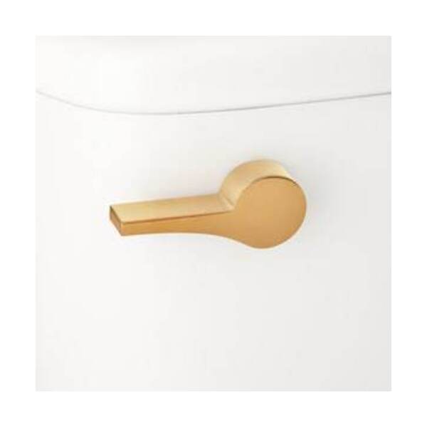 SIGNATURE HARDWARE FLUSH LEV F/ *BRADEN CLST BG